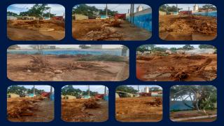 جريمة بيئية بجماعة سيدي علي بن حمدوش بدائرة أزمور “إعدام أشجار “