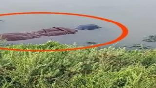 ازمور : العثور على جثة سيدة تطفو على سطح مياه نهر أم الربيع