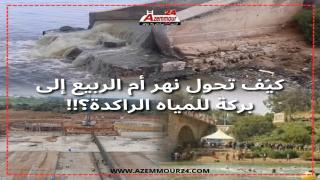 كيف تحول نهر أم الربيع إلى بركة للمياه الرائدة؟!!