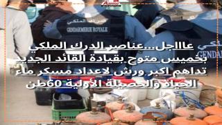 عناصر الدرك الملكي بخميس متوح بقيادة القائد الجديد تداهم اكبر ورش لاعداد مسكر ماء الحياة والحصيلة الأولية 60طن