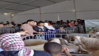 إقبال جماهيري كبير على المنتوجات المجالية بالمعرض الدولي لتربية المواشي والفلاحة بسيدي علي بنحمدوش
